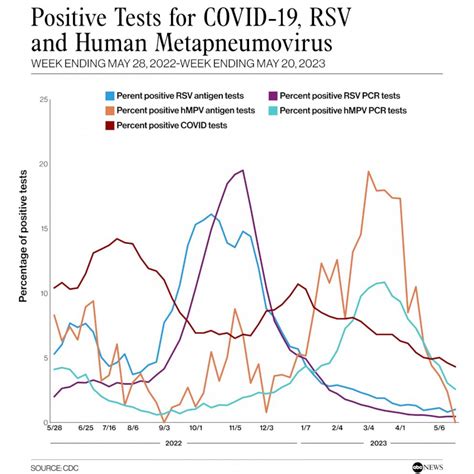 Human metapneumovirus - KellyannOcean