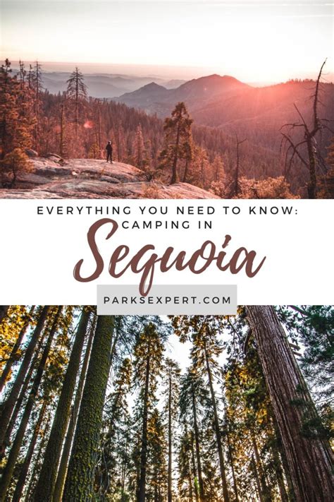 Sequoia National Park Camping: The Best Guide to All 7 Campgrounds