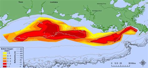 Large 2019 dead zone in Gulf of Mexico | Earth | EarthSky