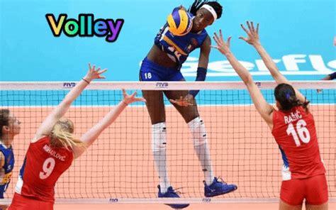 Volley-sports-champions GIFs - Get the best GIF on GIPHY