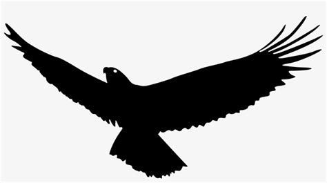 Vulture Vector Wing - Eagle Flying Silhouette Png - Free Transparent PNG Download - PNGkey