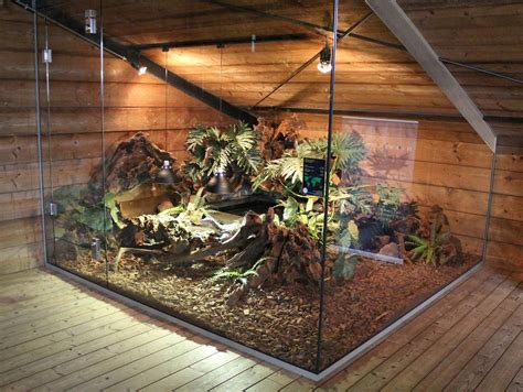 reptile big enclosure - Google Search | Terrariums | Pinterest ... # ...