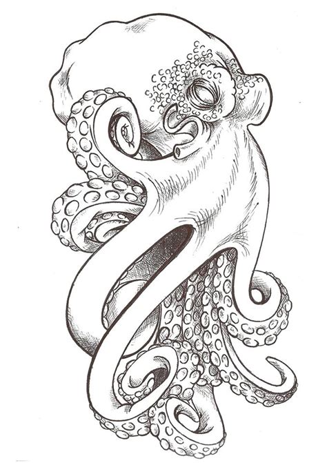 Japanese Octopus Drawing at GetDrawings | Free download