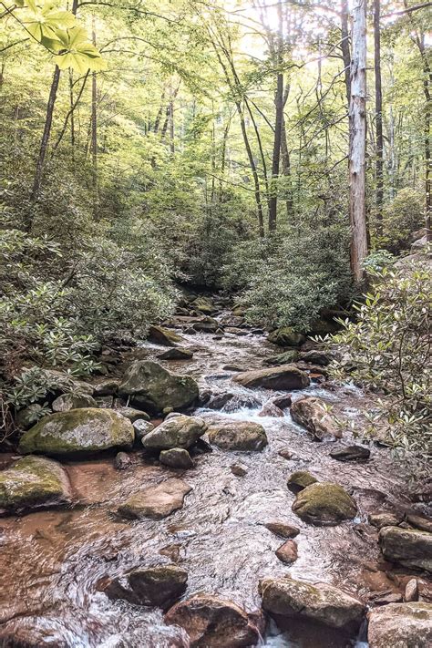 Hike to the Jones Gap Waterfall in Jones Gap State Park [Trail Guide]