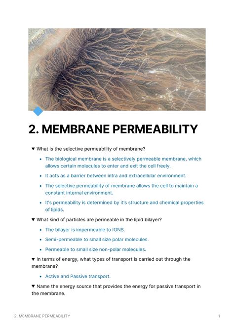 Membrane Permeability - 🔹 2. MEMBRANE PERMEABILITY What is the selective permeability of ...