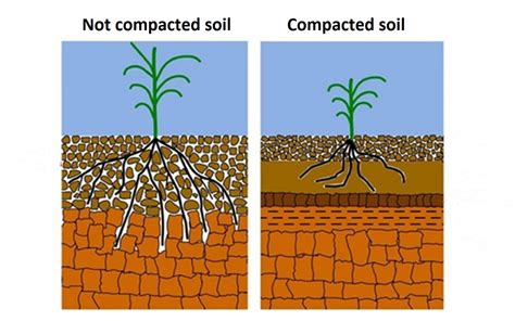 Soil compaction: compaction methods, price, advantages and disadvantages – Обои на телефон ...