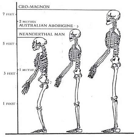 Cro-Magnon and Atlanteans with "Perfect" Characteristics (by A Future ...