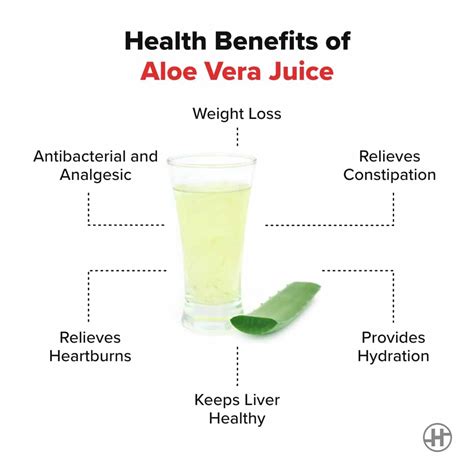 Aloe Vera Juice - Benefits, Uses, Nutrition, And More - Blog - HealthifyMe