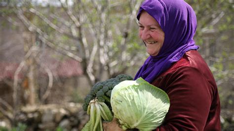 Finland and UNDP Renew Partnership for Resilience in Response to ...