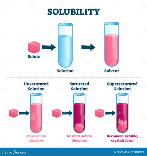 Illustration De Vecteur De Solubilité. Plan Marqué De Solvant Et De Solution De Soluté ...