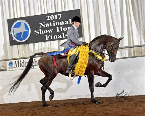 2017 National Show Horse Finals - Howard Schatzberg Horse Show Proofs ...