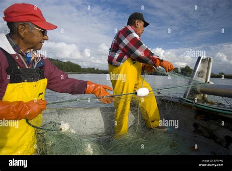 Drift net hi-res stock photography and images - Alamy