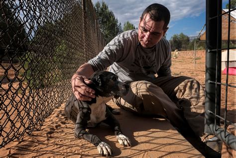 How Michael Vick’s dogfighting case changed animal welfare - Washington ...