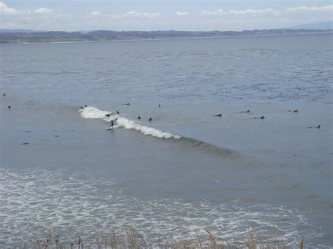 Surfers at Capitola | Surfing, Surfer, Beach