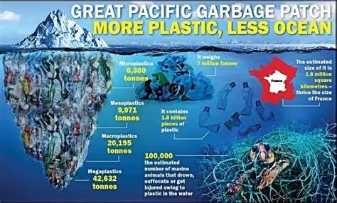 Kia to Reuse Plastic from Record 55 Tons of Collected Ocean Trash