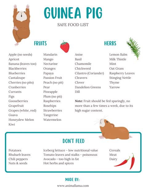 Safe Fresh Food List for Guinea Pigs: Vegetables, Fruits & Herbs ...