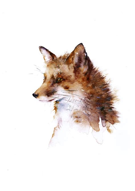 Fox painted by watercolour artist Jane Davies. | Watercolor fox painting, Watercolor fox, Fox ...