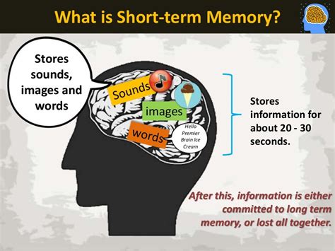 Short-term Memory Characteristics The 3