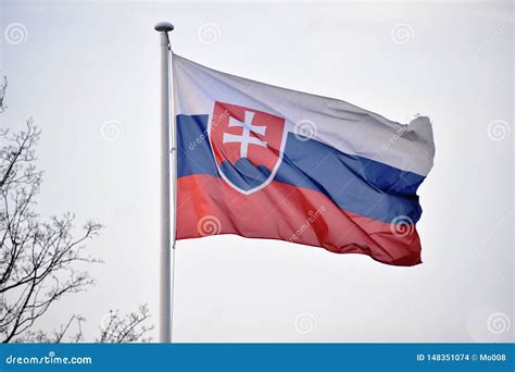 Flag of Slovak Republic - Slovakia Flag Stock Photo - Image of nation ...