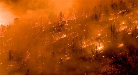 Wildfires, health and climate change: Research and resources