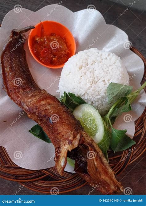 Pecel lele stock image. Image of food, lele, consist - 262310145