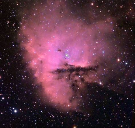 Pink Nebula | Nebula, Galaxy wonder, Stunning view