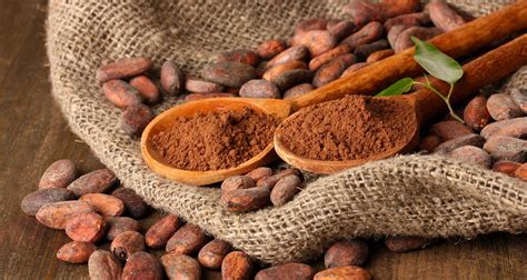 Cocoa Bean Processing - Kocotek