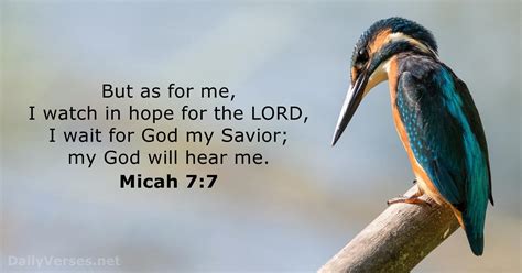 Micah 7:7 - Bible verse - DailyVerses.net