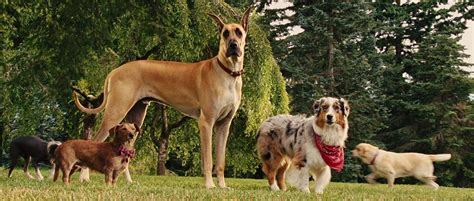 Marmaduke Trailer (2010)