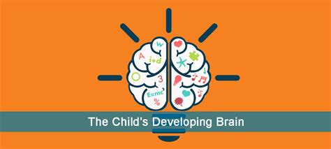 Understanding The Child's Developing Brain | Early Childhood