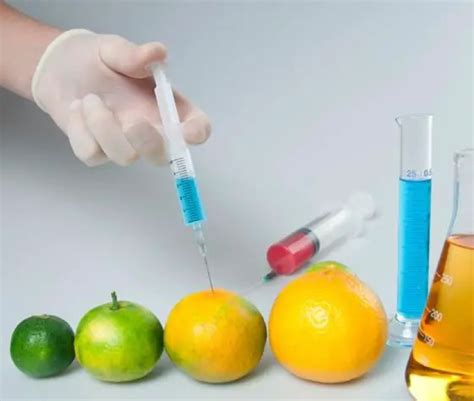 5 Benefits of Food Biotechnology That You Must Know