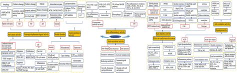 Frontiers | Scopoletin: a review of its pharmacology, pharmacokinetics ...