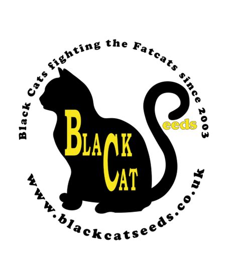 Catnip Kush (Black Cat Seeds) :: Cannabis Strain Info