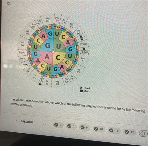 13. top mRNA sequence? Based on the codon chart above, which of the ...