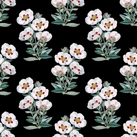 Black Floral Vintage Wallpapers - Wallpaper Cave