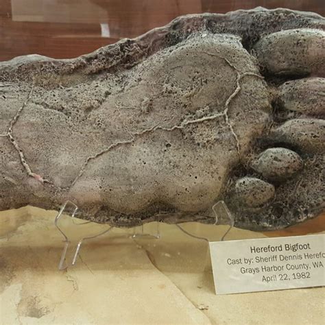 Bigfoot Cast