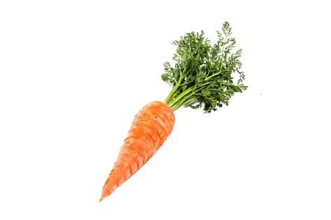 Carrot PNG HD #97043 1020x331 Pixel | pngteam.com