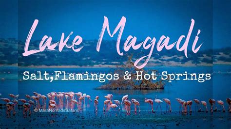 LAKE MAGADI: SALT, FLAMINGOS & HOT SPRINGS - YouTube