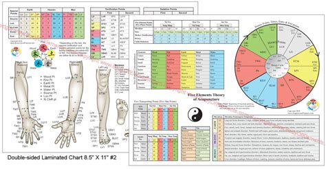 The Five Element Points of Acupuncture Charts 8.5" X 11" – Body of Elements