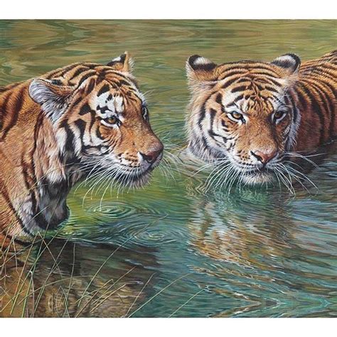 Original "Too Alert" 21" x 33" by Wildlife Artist Alan M Hunt | Wildlife artists, Tiger in water ...