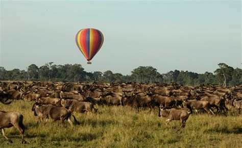 Maasai Mara Balloon Safari | Balloon Safari