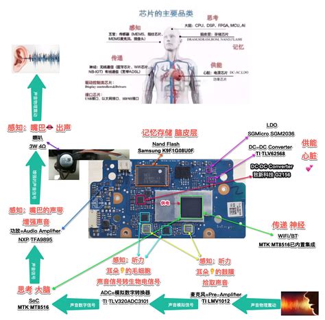 芯片分类 · 芯片产业链总结