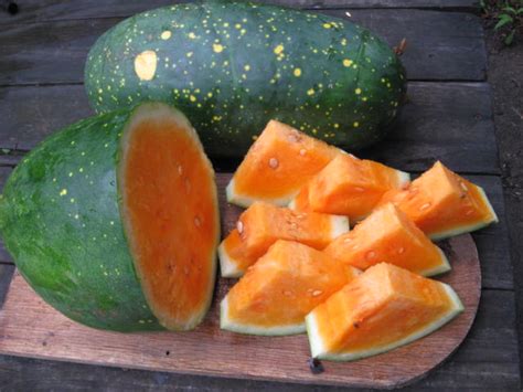 Moon and Stars, Yellow Fleshed Watermelon, 3 g : Southern Exposure Seed Exchange, Saving the ...