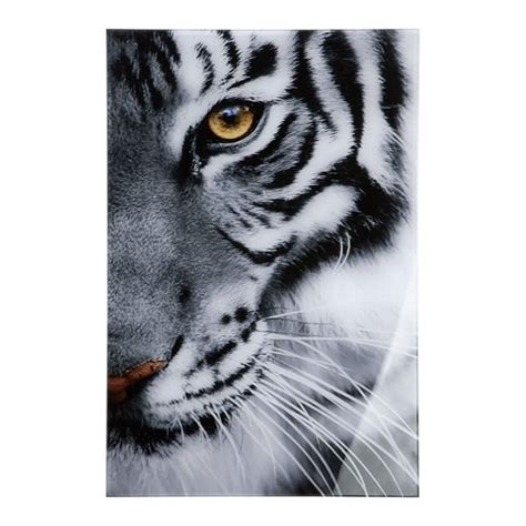 Tiger Picture Acrylic Wall Art In Black And White | Furniture in Fashion