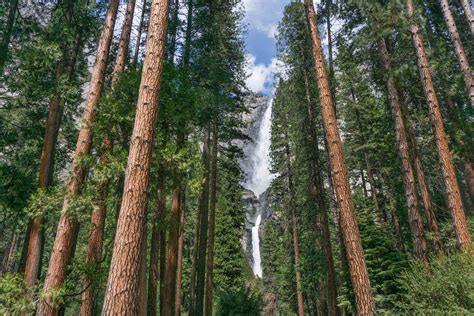 Waterfalls in Yosemite | yosemitethisyear.com