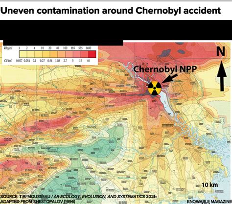 Chernobyl’s impact on wildlife is still debated by scientists