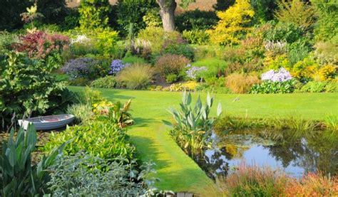 Beth Chatto reissues classic planting guide | Horticulture Week