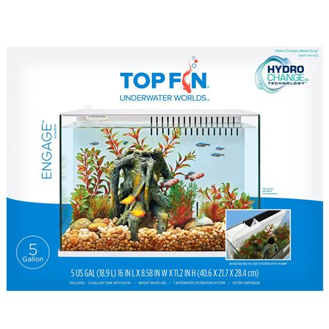 top fish for 5 gallon tank - Noel Coffin