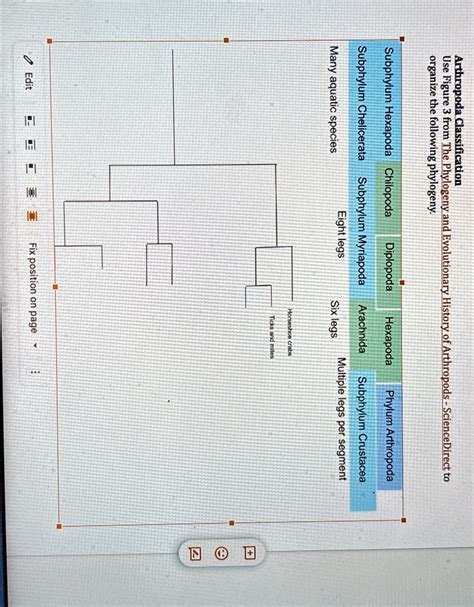 SOLVED: Arthropoda Classification Use Figure 3 from The Phylogeny and ...