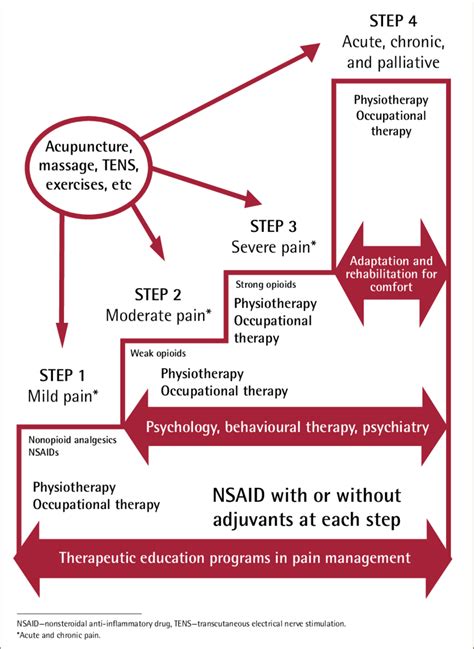 Revised 4-step analgesic ladder | Download Scientific Diagram